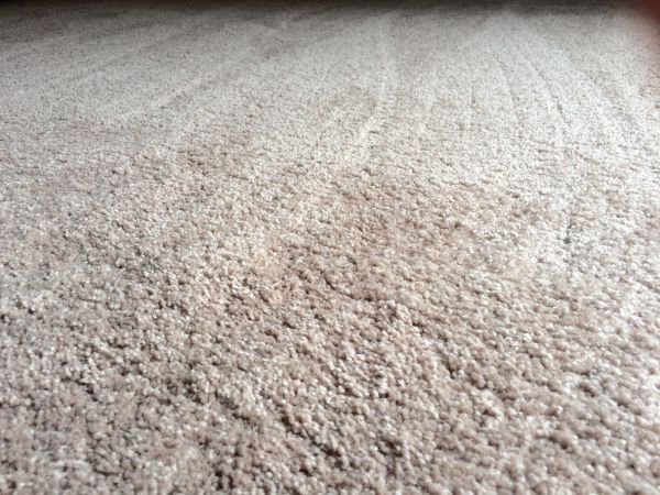 Plush Carpet Installation in Manchester