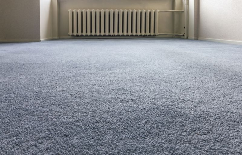 Restored Carpet Texture
